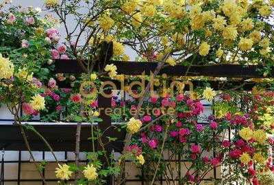 IANCU NICOLAE/ GRADINA SUPERBA/LOCURI DE PARCARE/SPATII GENEROASE - 53