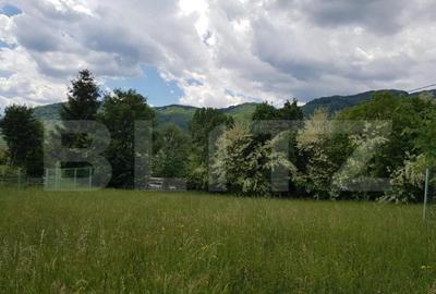 Teren de 1000 mp, în Central