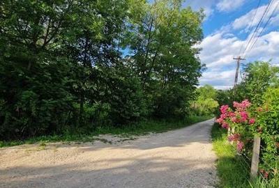 Teren de 4754 mp, în Moțăieni - 6