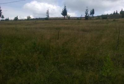 Teren intravilan Arieșeni - 4