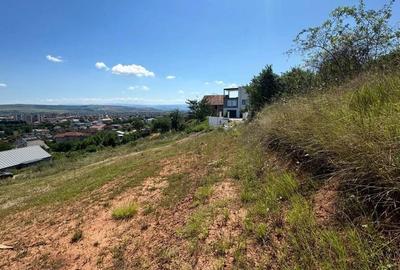 Teren de 746 mp, în Cetate - 3