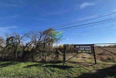 Teren de vanzare -  Bolintin Vale 10 ha - 7