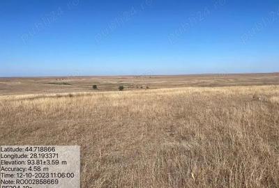 Spațiu comercial, în Saraiu - 1