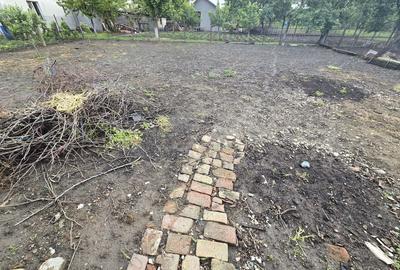 ? Casă renovată cu teren generos - Ciacova, Timiș, 800 mp teren - 9