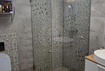 Apartament cu 3 camere decomandat în Albert - 8