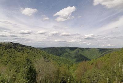 Teren de 20000 mp, în Mărișel - 2
