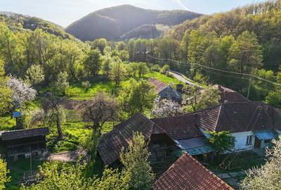 Casă cu 4 camere în Burjuc - 6