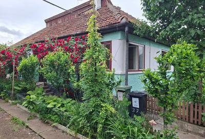 Casă individuală cu 3 camere cu Canalizare în Simeria - 3