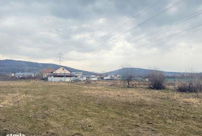 Spațiu comercial, în Viforâta - 6