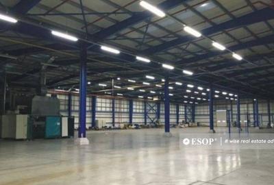 CTPark Timisoara, hale industriale, 0%comision, 4.500 - 4... - 2