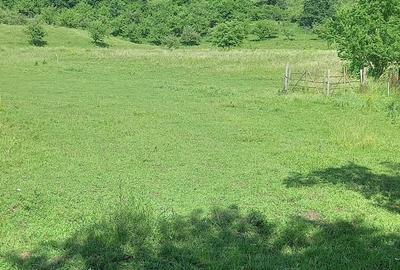 Teren de 2500 mp, în Micești - 4