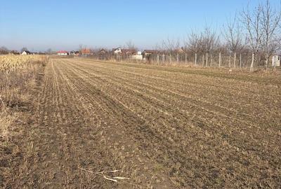 Spațiu comercial, în Stupini - 3