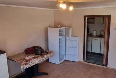 Garsonieră decomandată, mobilată în Tei