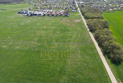 Teren intravilan 1490mp | SAD | Covaci - 4