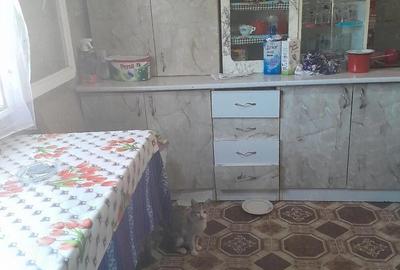 Casă cu 3 camere cu Teren 1600 Mp în Traian - 5