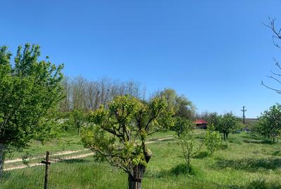 Fermă de vânzare în com. Deleni - DN3 - 10.680 mp - 84 m deschidere - 26