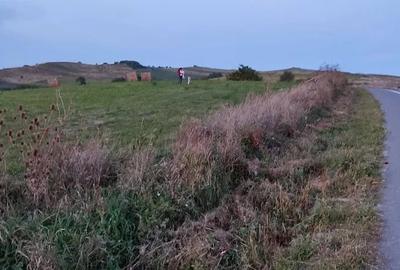 Teren agricol de 3000 mp, în Săliștea Nouă - 4