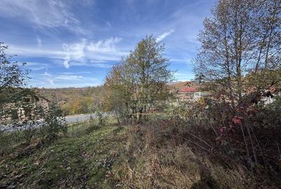 TEREN INTRAVILAN 13167 MP BUGHEA DE SUS ARGES - 4