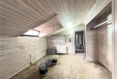 Pache Protopopescu | PROTV | Vizibilitate |  Curte 250 mp | Garaj - 20