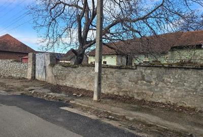 Casă cu 3 camere cu Teren 2500 Mp în Pietroasa - 1