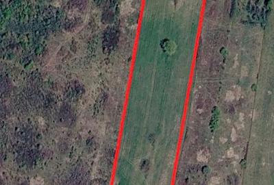 Teren agricol extravilan de 3744 mp, în Gruilung - 1