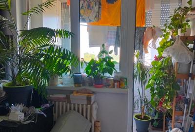 Apartament 4 camere, mobilat, utilat, renovat - 7