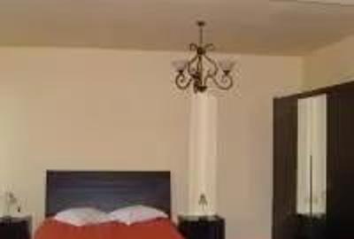 Inchiriez Pensiunea Ruxandra de Revelion 2026 - 3