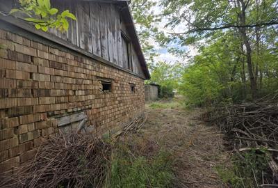 Teren Construcții intravilan de 1887 mp, în Lipău - 3