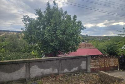 Casă cu 4 camere în Podari - 7