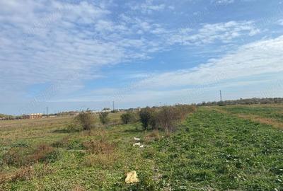 Teren de 3700 mp, în Mărăcineni - 2