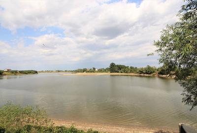 Casa deschidere lac 14 metri teren 878 mp in Samurcasi Crevedia Buftea - 2