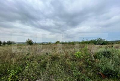 REDUCERE!!! Teren intravilan industrial, 900 mp, I?alni?a - 2