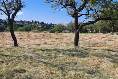 Spațiu comercial, în Feleacu - 7