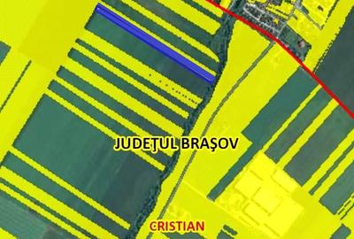 Teren extravilan arabil 20.000 mp Cristian Teren extravilan arabil 20.000 mp Cristian - 3