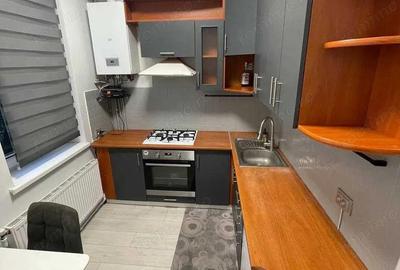 Apartament cu 1 camera in zona Mehala - 3