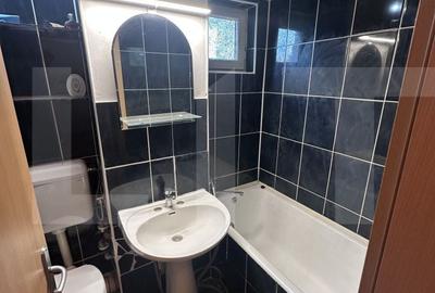 Apartament cu 2 camere în Șega - 8