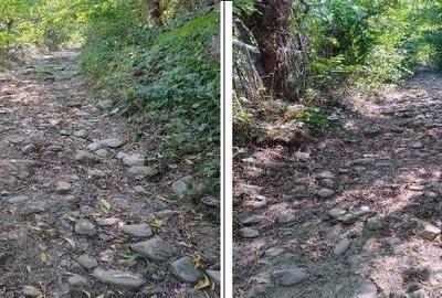 Teren Buciumeni, ID: R2431873 - 2