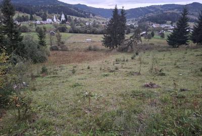 Spațiu comercial, în Panaci - 1