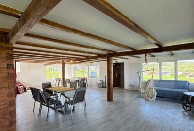 EXCLUSIVITATE! Cabana CHEILE TURZII, teren 8700 mp, privelis - 3