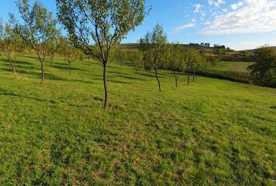 Spațiu comercial, în Aluniș - 1