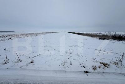 Teren de vanzare, 9000 mp, cartier Izvor - Tarlungeni - 105. - 2