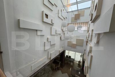 Hotel/Pensiune, 6 camere, 1700 mp, zona Hanul Doctorului - 7