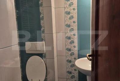 Casa de vanzare in Corunca, ideala pentru 2 familii sau pensiune - 13