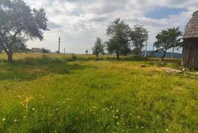 Casa+teren 5000mp, 70ml la DN 2E, zona Cacica, Radauti - 6