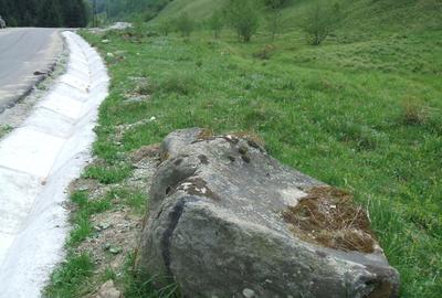 Raul Mare Retezat, spre statiunea de schi Rausor, Judetul Hunedoara - 3