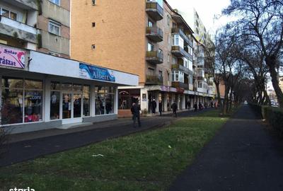 Spațiu comercial, de 35 mp, în Careiului - 1