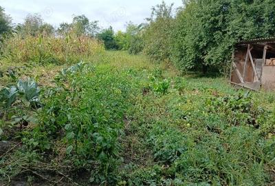 Casă cu 5 camere cu Teren 1000 Mp în Balda - 1
