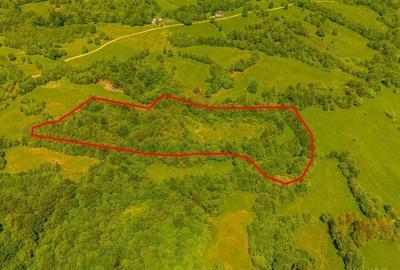 Teren ideal recreere/conectare cu natura/zona Fagaras/achitare in rate - 6