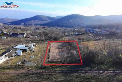 Teren de 1000 mp, în Telița - 2