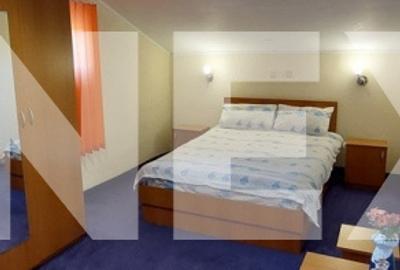 Vila de vacante cu prieteni in 9 camere si teren generos in Arges Vila de vacante cu prieteni in 9 camere si teren generos in Arges - 8